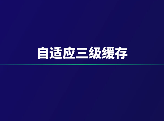 EDS技术自适应三级缓存